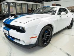 Weiß Gebraucht 2021 Dodge Challenger Coupé | 36.490 € (Teuer)