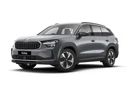 Grau Gebraucht 2025 Skoda Kodiaq Selection SUV | 41.867 € (Guter Preis)