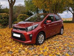 Rot Gebraucht 2019 Kia Picanto DREAM-TEAM Edition Kleinwagen | 9.500 € (Fairer Preis)