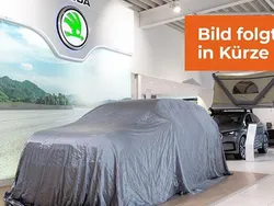 Grau Gebraucht 2024 Skoda Kamiq Tour SUV | 23.980 € (Guter Preis)