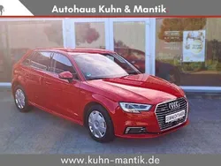 Rot Gebraucht 2017 Audi e-tron Advanced SUV | 17.500 € (Superpreis)
