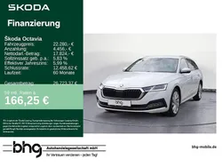 Weiß Gebraucht 2023 Skoda Octavia Style Kombi | 22.280 € (Fairer Preis)