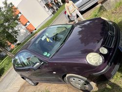 Rot Gebraucht 2002 VW Polo Basis Kleinwagen | 1.300 € (Fairer Preis)