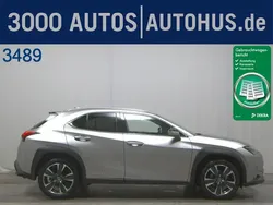 Lexus UX 300h