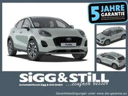 Cactus grey Neu 2025 Ford Puma Titanium Kleinwagen | 28.580 € (Fairer Preis)