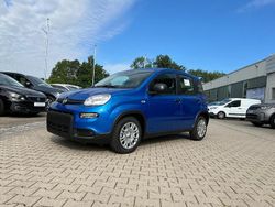 Italia blau Neu 2025 Fiat Panda Kleinwagen | 17.990 € (Teuer)