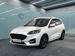 Weiß Gebraucht 2023 Ford Kuga ST-Line SUV | 26.600 € (Fairer Preis)
