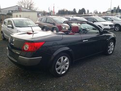 Schwarz Gebraucht 2007 Renault Mégane Cabriolet Dynamique Cabrio | 2.300 € (Fairer Preis)