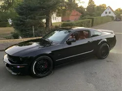 Schwarz Gebraucht 2005 Ford Mustang GT Coupé | 16.500 € (Teuer)