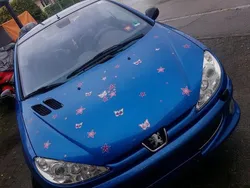 Blau Gebraucht 2004 Peugeot 206 CC Cabrio | 1.650 € (Fairer Preis)