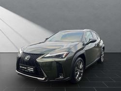 Terrane khaki (grün) Neu 2025 Lexus UX Sport Line SUV | 38.990 €