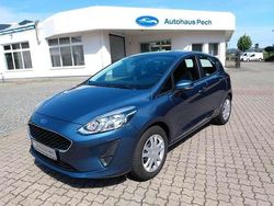 Chromablaumetallic Gebraucht 2019 Ford Fiesta Trend Kleinwagen | 11.860 € (Etwas zu teuer)