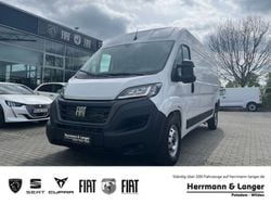 Weiss Gebraucht 2024 Fiat Ducato Van | 36.999 € (Fairer Preis)