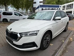 Gebraucht 2023 Skoda Octavia Style Kombi | 14.999 € (Superpreis)