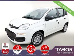 Weiß Neu 2025 Fiat Panda Kleinwagen | 13.748 € (Guter Preis)