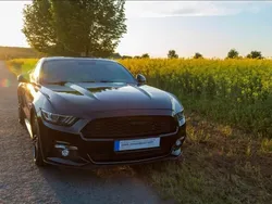 Schwarz Gebraucht 2016 Ford Mustang GT Cabrio | 32.500 € (Superpreis)
