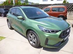 Grün Gebraucht 2024 Ford Kuga ST-Line SUV | 29.999 € (Superpreis)