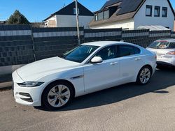 Weiß Gebraucht 2019 Jaguar XE Limousine | 19.900 € (Fairer Preis)