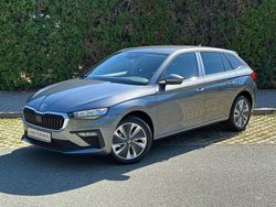 Grau Neu 2025 Skoda 105 Limousine | 27.670 €