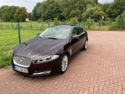 Rot Gebraucht 2012 Jaguar XF Limousine | 8.900 € (Etwas zu teuer)