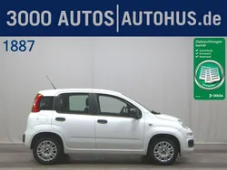 Other Gebraucht 2020 Fiat Panda Easy Kleinwagen | 6.480 € (Superpreis)