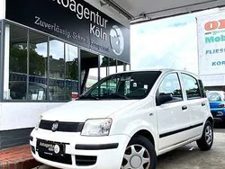 Bianco bianco/ bossa nova/calc Gebraucht 2009 Fiat Panda Active Kleinwagen | 1.690 € (Fairer Preis)