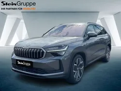 Othercolor Neu 2024 Skoda Kodiaq Selection SUV | 52.989 € (Teuer)