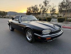 Schwarz Gebraucht 1995 Jaguar XJS Cabrio | 27.900 €