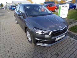 Grau Neu 2025 Skoda Fabia Limousine | 16.990 € (Guter Preis)