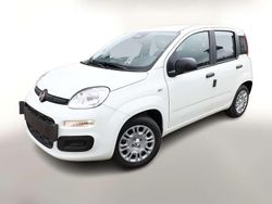 Gelato weiß Neu 2025 Fiat Panda S Kleinwagen | 14.890 € (Fairer Preis)