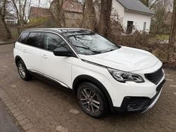 Weiß Gebraucht 2019 Peugeot 5008 Allure SUV | 19.999 € (Fairer Preis)
