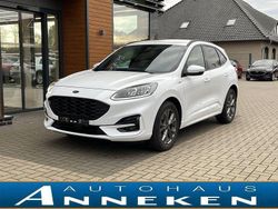 Weiß Gebraucht 2022 Ford Kuga ST-Line X SUV | 23.950 € (Guter Preis)