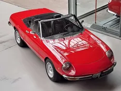 Rot Gebraucht 1978 Alfa Romeo Spider Veloce Cabrio | 26.800 €