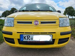 Gelb Gebraucht 2010 Fiat Panda Kleinwagen | 1.999 € (Guter Preis)