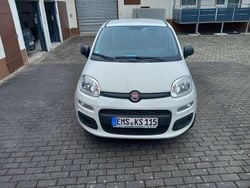 Weiß Gebraucht 2020 Fiat Panda Easy Kleinwagen | 8.500 € (Fairer Preis)