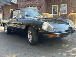 Schwarz Gebraucht 1975 Alfa Romeo Spider Cabrio | 21.850 €