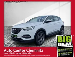 Jade weiss / black Gebraucht 2021 Opel Grandland X Edition SUV | 17.947 € (Superpreis)