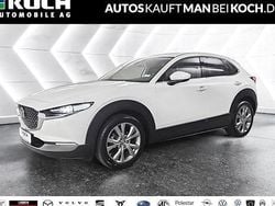 Weiss Gebraucht 2025 Mazda CX-30 Exclusive SUV | 25.990 € (Guter Preis)