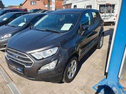 Grau Gebraucht 2019 Ford Ecosport Trend SUV | 11.490 € (Fairer Preis)