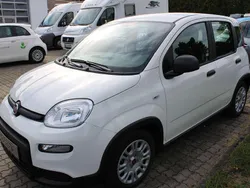 Weiß Neu 2024 Fiat Panda Kleinwagen | 13.690 € (Guter Preis)