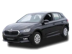 Schwarz Gebraucht 2024 Skoda Fabia Dynamic Kleinwagen | 19.849 € (Fairer Preis)