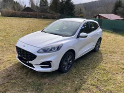 Weiß Gebraucht 2021 Ford Kuga ST-Line SUV | 21.900 € (Superpreis)