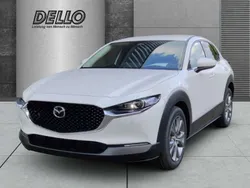 Weiss Neu 2025 Mazda CX-30 Center-Line SUV | 28.990 €