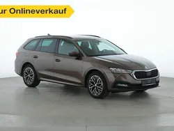 Braun Gebraucht 2021 Skoda Octavia Ambition Kombi | 21.460 € (Guter Preis)