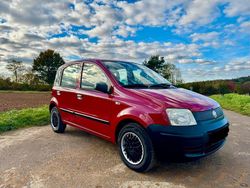 Rot Gebraucht 2008 Fiat Panda Kleinwagen | 2.690 € (Fairer Preis)
