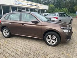 Braun Gebraucht 2020 Skoda Kamiq Ambition SUV | 17.190 € (Fairer Preis)