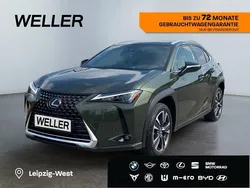 Gruen Gebraucht 2024 Lexus UX 250h Executive Line SUV | 35.190 € (Etwas zu teuer)