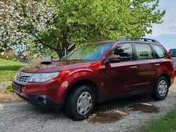 Rot Gebraucht 2011 Subaru Forester Exclusive+ SUV | 6.000 € (Fairer Preis)