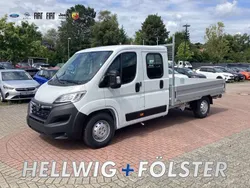 Lackierung weiss icy/typ ausse Neu 2024 Opel Movano Van | 34.486 € (Etwas zu teuer)