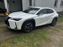 Weiß Gebraucht 2021 Lexus UX 250h Luxury Line SUV | 26.990 € (Fairer Preis)